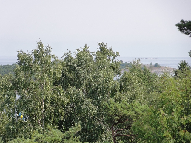 Höga träd och vacker utsikt från stuga Berget på Utö